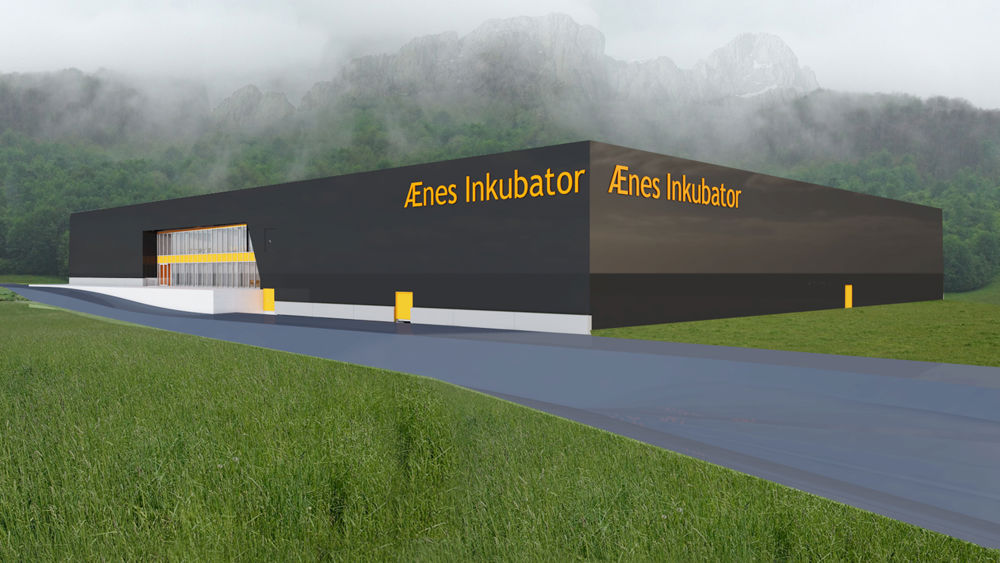 Ænes illustrasjon