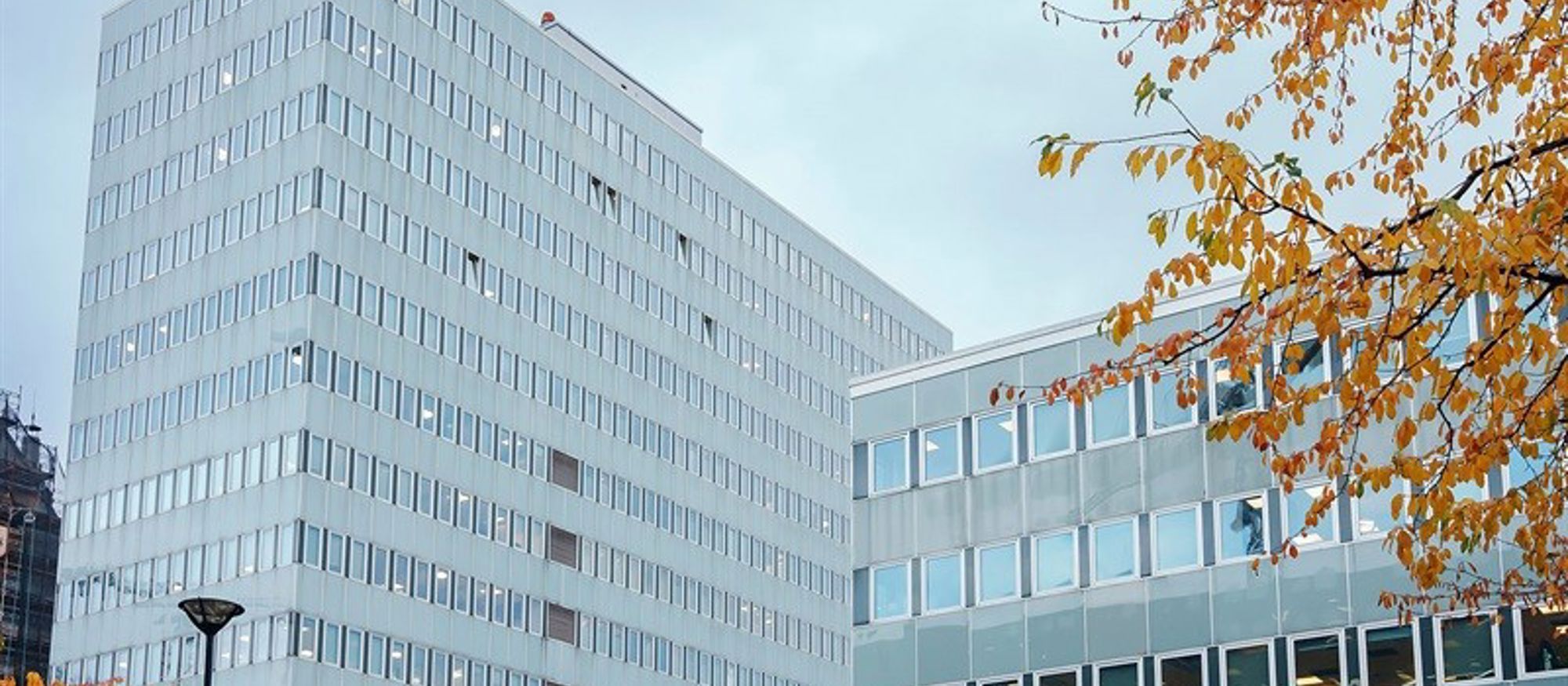 Rune Andersstuen